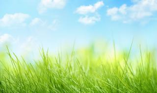 悠悠寸草心第三部 悠悠寸草心第三部